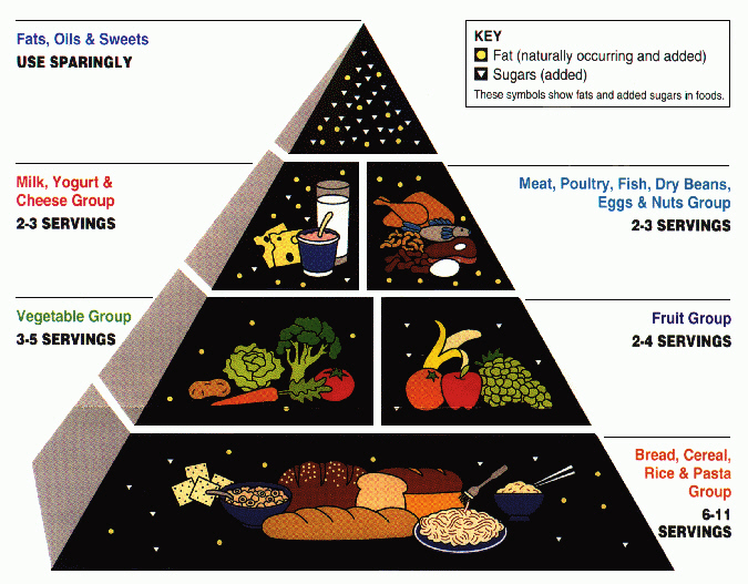 Nourishment - food pyramid